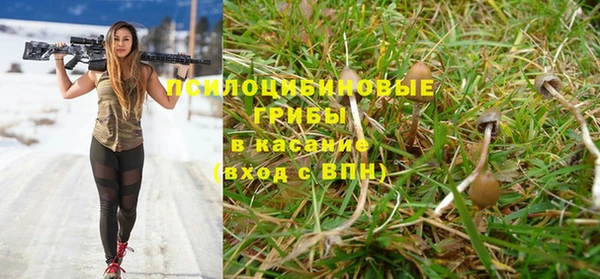 Альфа ПВП Надым