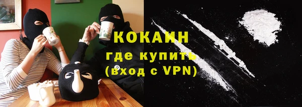 MDMA Шенкурск