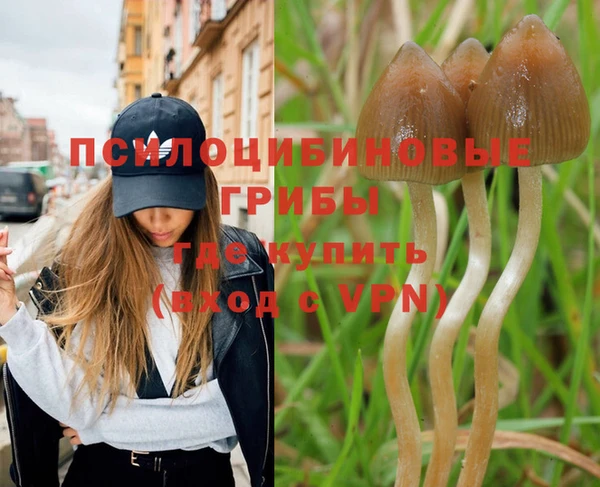 мет Михайловск