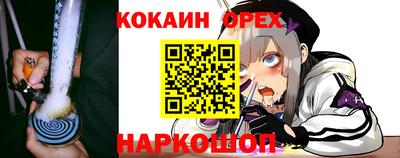 мяу мяу мука Кандалакша