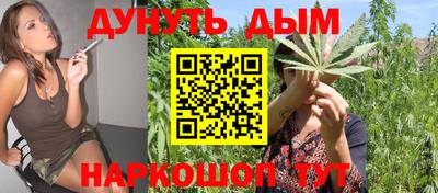 spice Камышлов
