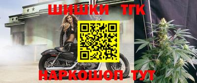 spice Камышлов