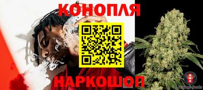 бошки Канаш