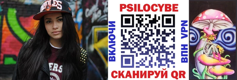 mega ТОР  Курган  Галлюциногенные грибы Psilocybine cubensis 