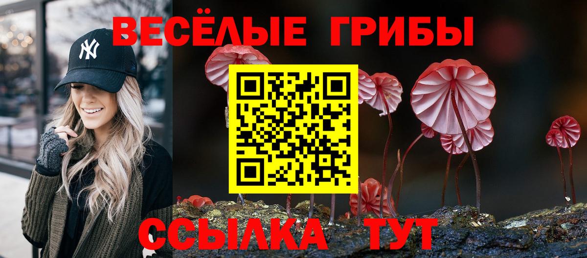 Курган  Псилоцибиновые грибы мухоморы  Галлюциногенные грибы мухоморы  Вход с VPN 
